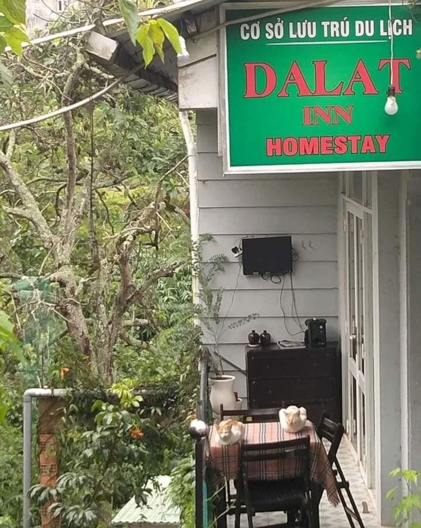 Dalat Inn Homestay Exterior photo